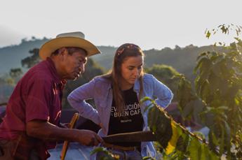 Il caffè inquina? La soluzione “in grani” di una start up spagnola