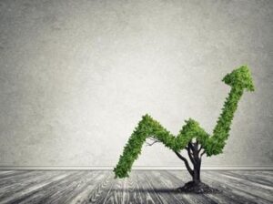 Obiettivo Net Zero, meno di due aziende su 10 sulla buona strada