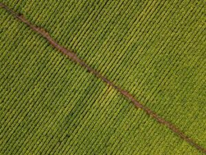 Tabacco, rinnovato accordo collaborazione Carabinieri-Philip Morris Italia