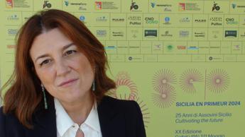 Vino, Cambria (Assovini Sicilia): “La nostra associazione dimostra che fare squadra è vincente”