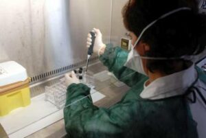 Alimenti, 40% malattie da cibo contaminato colpisce bambini under 5