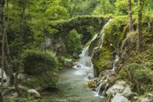 Ecocidio, Avs propone reato per chi danneggia ambiente, da 12 a 20 di reclusione