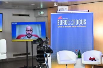 Europee: Nalli (Suzuki Italia), ‘2035 vissuto quale imposizione, decisione politica’