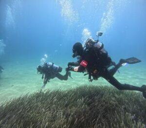 Garantire la biodiversità e tutelare il mare: così E.ON investe sul futuro dei giovani con le Summer School del progetto Energy4Blue