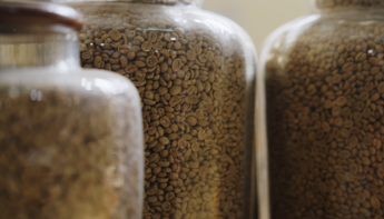 L’aroma del caffè che profuma di innovazione: Zicaffé digitalizza i processi con l’automazione aperta di Schneider Electric