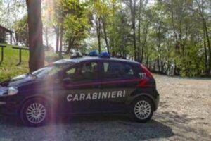 Pavia, cadavere di una ragazza trovato nei campi