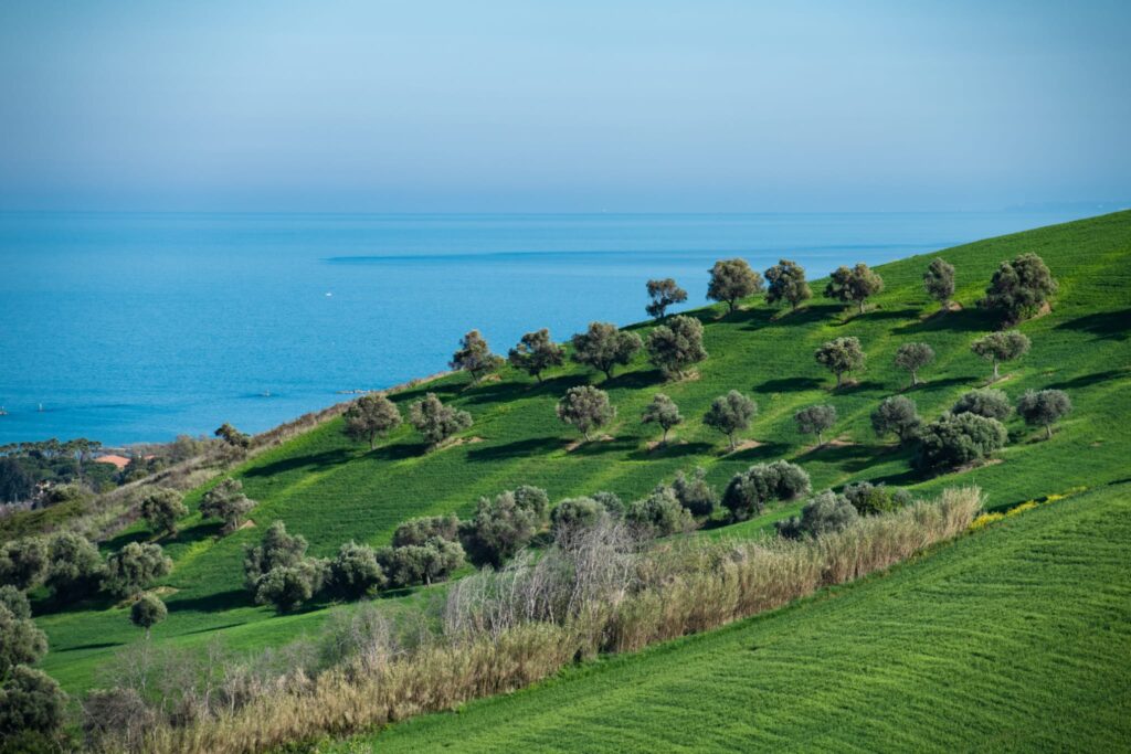 Turismo Roseto, opposizione: "Nugnes elude i dati, 100mila presenze in meno negli ultimi due anni"