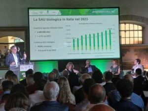Ismea, coltivati a biologico soprattutto seminativi con 42%