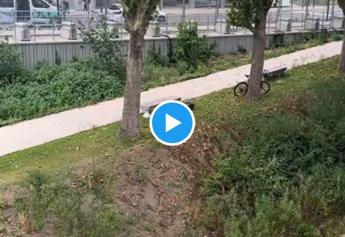 Parigi 2024, villaggio da incubo e si dorme sui prati: “Ma è Ceccon?” – Video