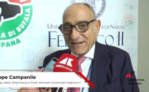Agroalimentare, Campanile (Università Federico II): “Latte bufala ricco di proprietà nutraceutiche”