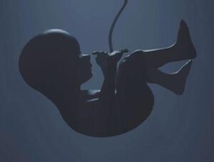 Giornata aborto sicuro. Pro Vita Famiglia: di sicuro solo omicidio del figlio e menzogne raccontate alle donne