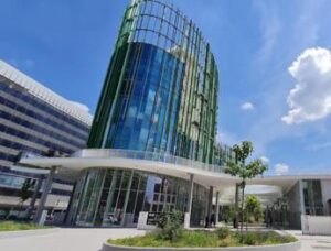 Università Roma Tre. Pro Vita Famiglia: Domani al Rettorato consegneremo oltre 32.000 firme contro laboratorio ‘bambini trans’