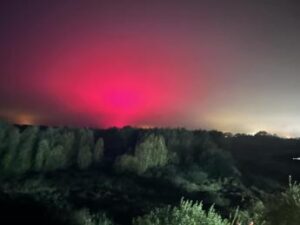 Crede di assistere all’aurora boreale, ma è una fabbrica di pomodori: l”abbaglio’ colpa dei Led