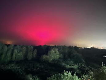 Crede di assistere all’aurora boreale, ma è una fabbrica di pomodori: l”abbaglio’ colpa dei Led