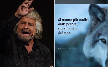 Grillo punge su Whatsapp: “Si muore più traditi dalle pecore che sbranati dal lupo”