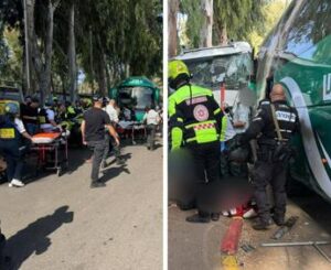Tel Aviv, camion contro fermata bus: decine di feriti. Polizia: “E’ attentato”