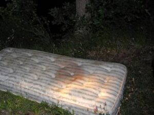 Treviso, colf getta vecchio materasso in discarica: dentro c’erano 50mila euro