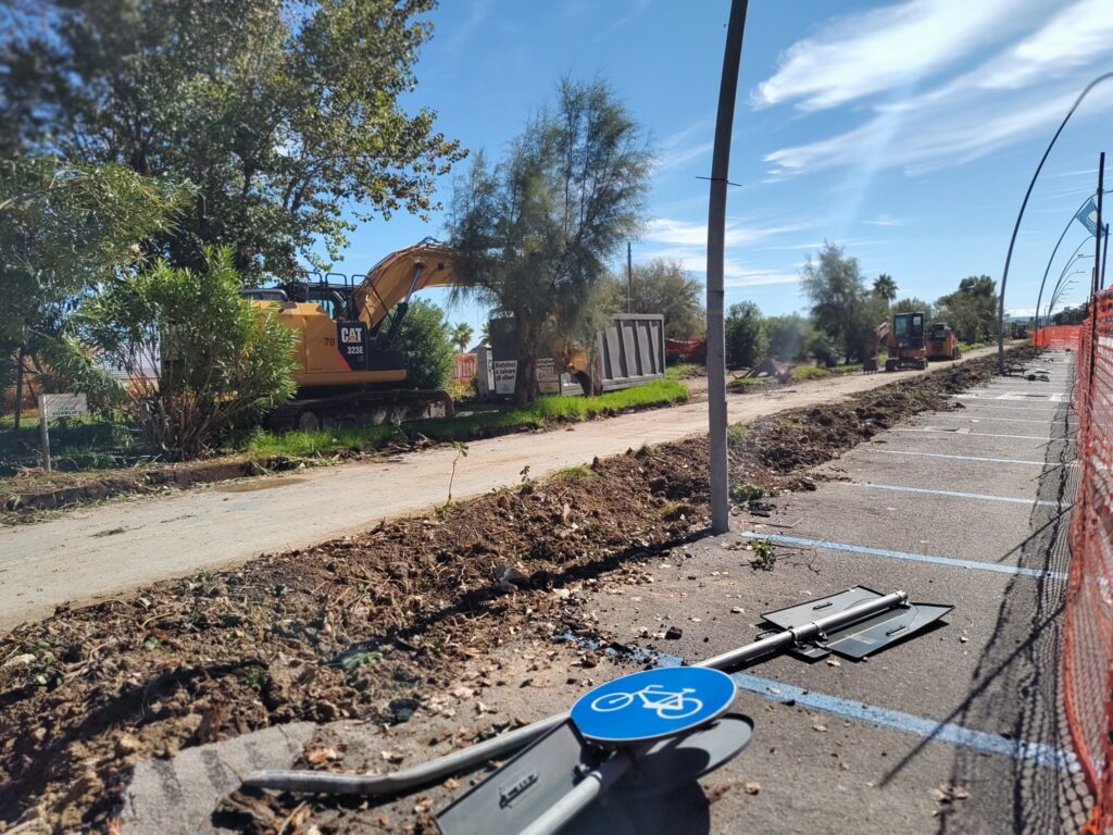 Alba Adriatica: scontro sull'abbattimento dei pioppi, il Comune replica con dati tecnici