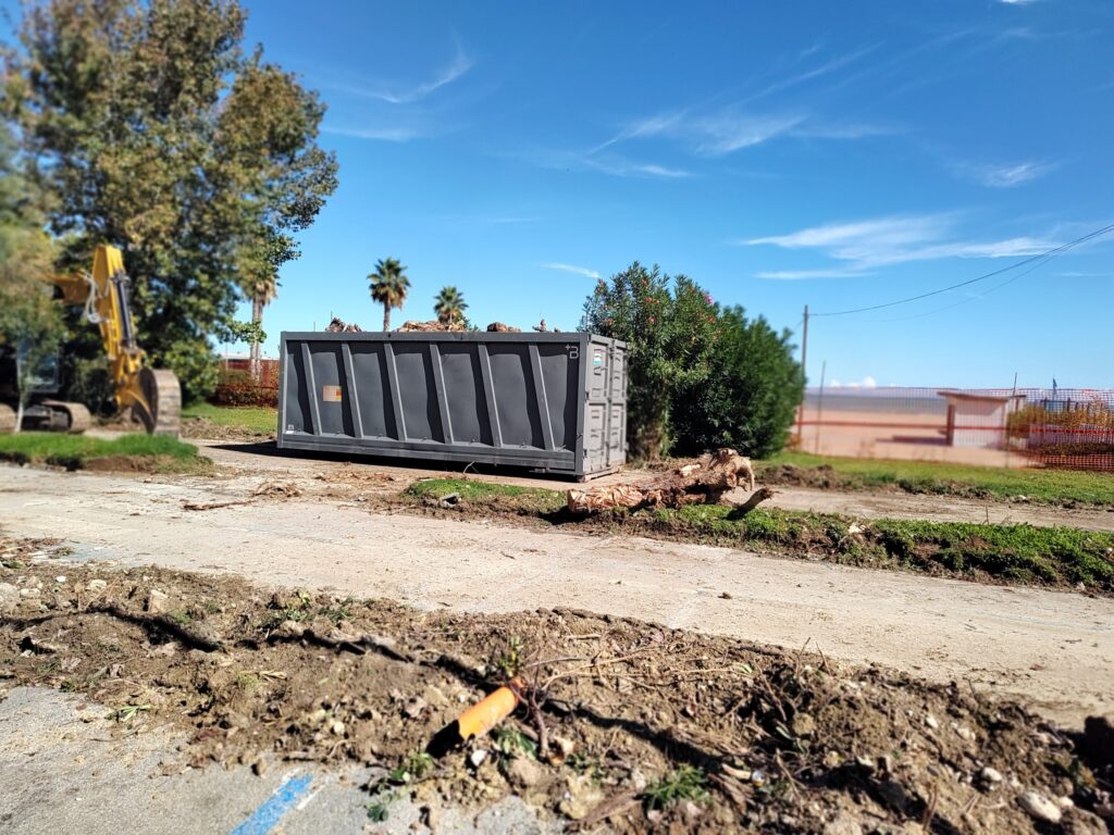 Pioppi rimossi: "operazione nel rispetto delle regole" dice il sindaco