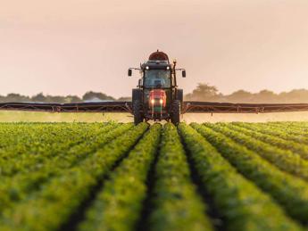 Fondi per l’agricoltura: si avvicina la scadenza per la presentazione delle domande ISMEA