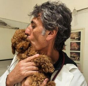 Capodanno, il veterinario Coccìa: “State con i vostri animali, evitate cure viste sui social e medicine”