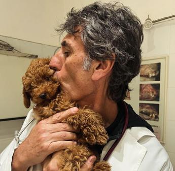 Capodanno, il veterinario Coccìa: “State con i vostri animali, evitate cure viste sui social e medicine”