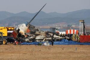 Corea del Sud, aereo con 181 persone a bordo si schianta in atterraggio: ipotesi bird strike