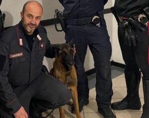 Omicidio Roberto Guerrisi, ritrovata l’arma del delitto grazie al fiuto del cane Cooper