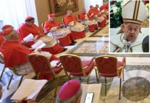 Papa al Concistoro con un ematoma sotto il mento