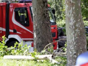 Roma, cade albero per il forte vento: morta una donna a Colli Aniene