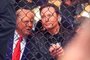 Trump contro Musk, le otto mosse che possono compiere per farsi male