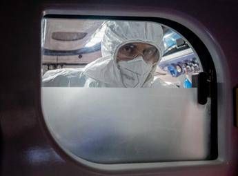 Virus Nipah in Europa e rischi contagio, cosa dice l’Ecdc e i consigli per chi viaggia