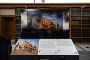 ‘World Unseen’ a Roma, esposizione che ridefinisce esperienza fotografica