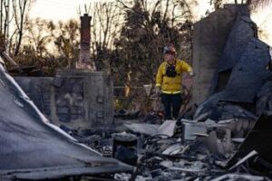 Incendi California, Los Angeles conta i danni: da Lady Gaga a Sting, le star in concerto per le vittime