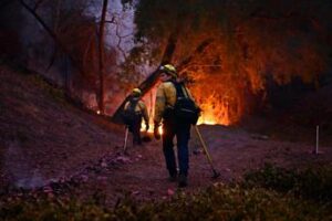 Los Angeles, incognita vento e sciacalli in azione. 16 morti negli incendi
