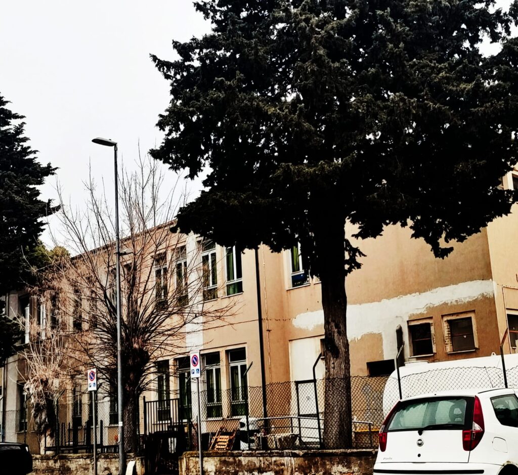 Tortoreto, D'Amelio: "“Scuola: otto anni di vuoto amministrativo”