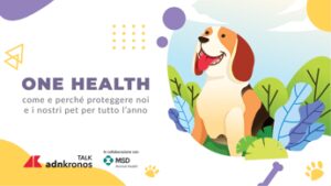 Animali, domani alle 11 il talk per proteggere dalle zecche noi e nostri animale