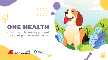 Animali, domani alle 11 il talk per proteggere dalle zecche noi e nostri animale