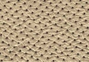 Dispositivi piezoelettrici biodegradabili per la medicina del futuro