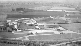 Agroalimentare, pisellini primavera Findus compiono 60 anni