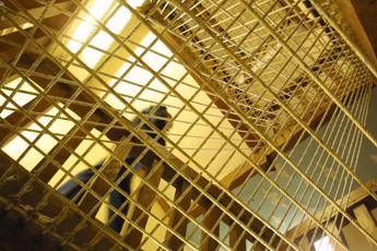 Allarme suicidi in carcere, Forza Italia apre a ‘riforme’. Stop di Delmastro: “No a svuota-carceri”