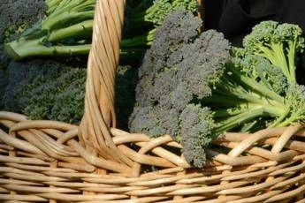 Broccoli superfood anti-aging, tutti i segreti svelati dall’immunologo-nutrizionista