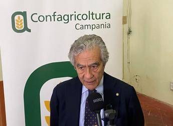 Dazi, Confagricoltura Campania: “Con calo export intero agroalimentare a rischio”