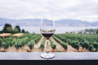 Dazi, tra timori e nuove strategie, dal mondo del vino le testimonianze dei Consorzi da Nord a Sud