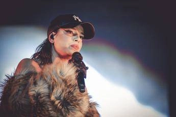 Emma, l’appello social: aiuta la cagnolina smarrita a ritrovare la padrona