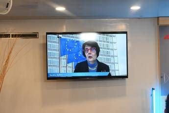 Farmaceutica, Gallina: “L’industria italiana è molto solida e va tutelata in Ue”