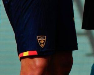Lecce contro la Lega: “Match con Atalanta non si doveva giocare, nessun rispetto per morte Fiorita”