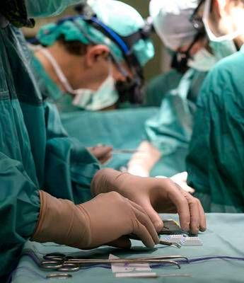 Ricerca, al Bambino Gesù fegati tenuti in vita per studi su malattie metaboliche