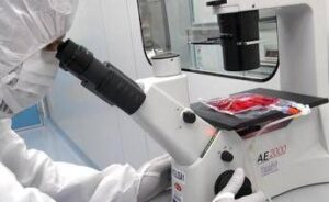 Tumori, in 5 anni di Car-T curati 1.800 italiani: “Il viaggio continua destinazione futuro”