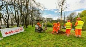 A Milano oltre 730 alberi messi a dimora nei parchi colpiti dal nubifragio del 2023
